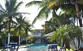 Hibiscus Center